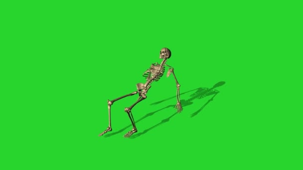 Skeleton Tumbado Una Silla Separado Pantalla Verde — Vídeo de stock