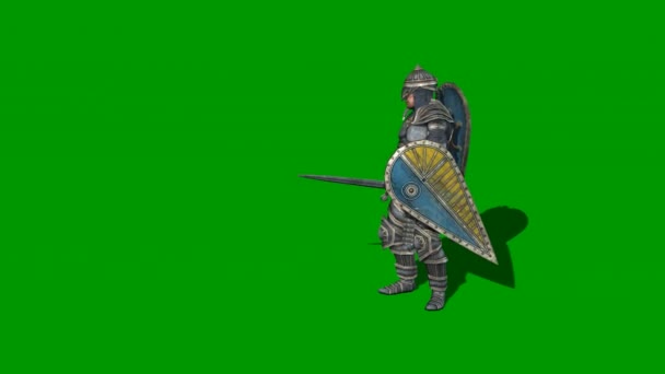 Mittelalterlicher Ritter kämpft mit Schwertern und Schild — Stockvideo