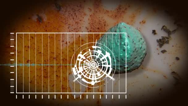  virus responsable de la fièvre Zika 