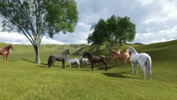 Scene of Morning Pasture. Herd of horses grazing in a pasture in the morning light — Stock Video