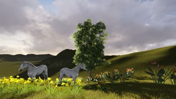Scène van de ochtend weiland. Kudde paarden grazen in een weiland in de ochtend licht — Stockvideo