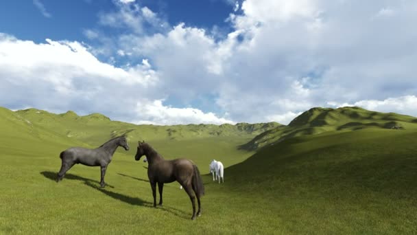 Scène van de ochtend weiland. Kudde paarden grazen in een weiland in de ochtend licht — Stockvideo
