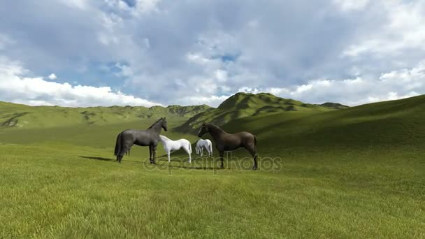 Scène de Morning Pasture. Troupeau de chevaux broutant dans un pâturage le matin — Video