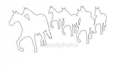  dörtnala - beyaz ekranda ayrılmış atlar