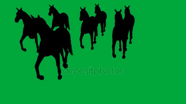 Caballos galopando - separados en pantalla verde — Vídeo de stock