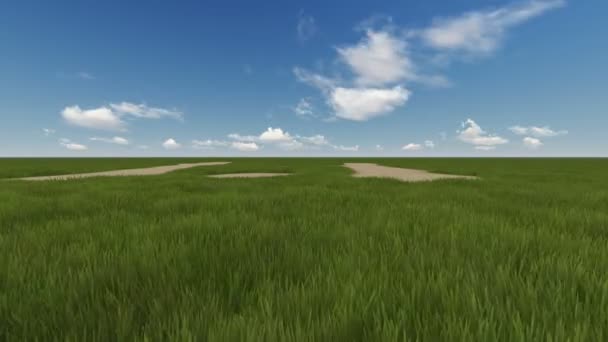 Zielone pole i chmurne niebo — Wideo stockowe