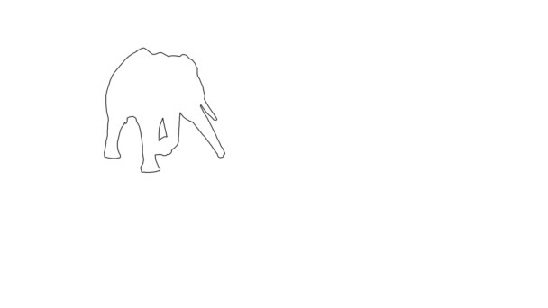 Elefante africano en movimiento. En pantalla blanca — Vídeos de Stock