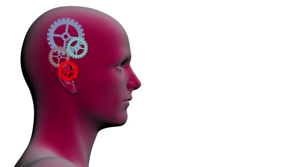 Engrenages rotatifs à l'intérieur de la tête — Video