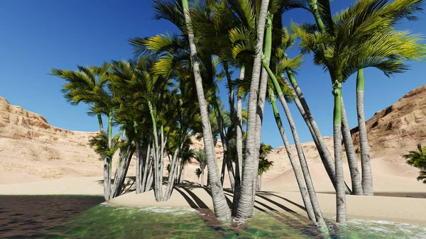 Oasis en el desierto —  Fotos de Stock