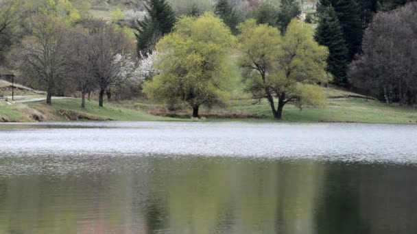 Ondeggiante Superficie Del Lago Sagome Albero Legno Che Modello Linee — Video Stock