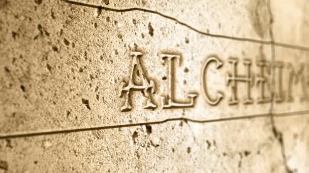 Woord Alcheimer Muur Met Egyptisch Alfabet — Stockvideo