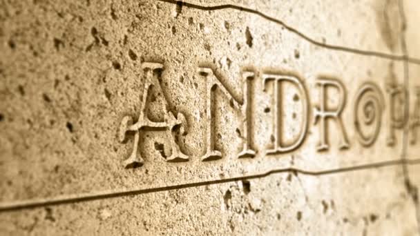 单词Andropause Wall Egyptian Alphabet — 图库视频影像
