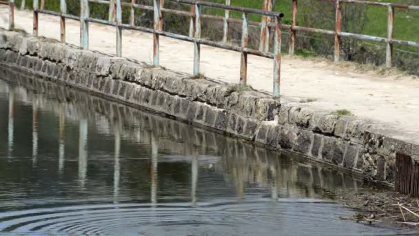 Viejo Paso Puente Madera Con Riel Metal Bosque Con Agua — Vídeos de Stock