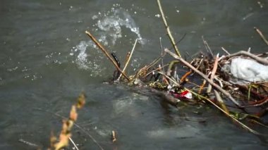 Suyumuzu kirleten büyük miktarda çöp.