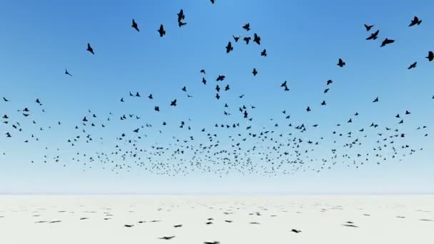 Flock Birds Flying Screen Animation Rendering — Stock Video