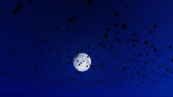 Screen Animasyon Üzerinde Uçan Rendering Kuşlar Sürüsü — Stok video