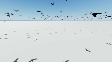 Screen.3d animasyon üzerinde uçan ve rendering Kuşlar sürüsü