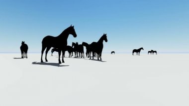 Horses.3d animasyon ve render birçok siluetleri
