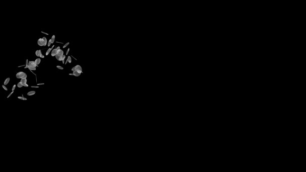 黑色背景下圆形颗粒飞行的动画研究 — 图库视频影像