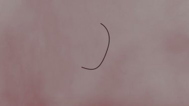  Sisli bir fikir. Bir fikir bir sisin içinde arayın. Elle çizilmiş animasyon ampul buluş ya da fikir kavramı