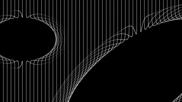 Abstract Black White Lines Animation Background — Stock Video