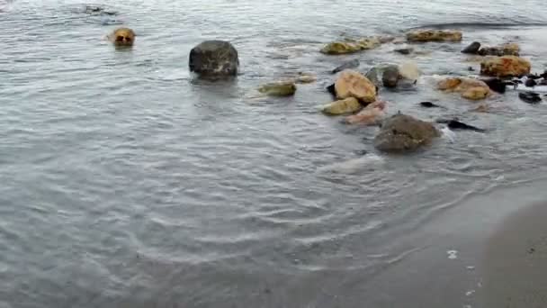 Zbliżenie małych fal nad skałami na białym piaskowym brzegu plaży — Wideo stockowe