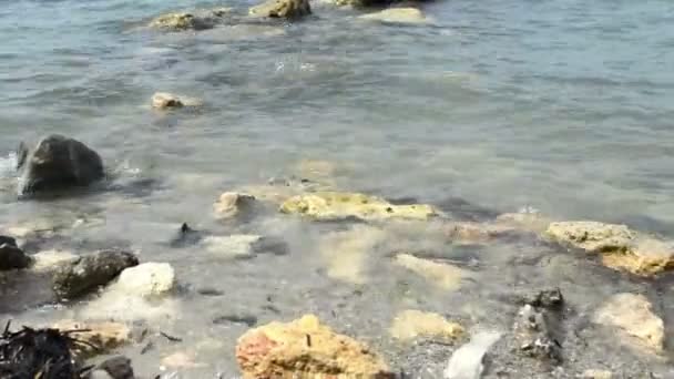 Primer plano de pequeñas olas sobre rocas en la orilla de la playa de arena blanca — Vídeos de Stock