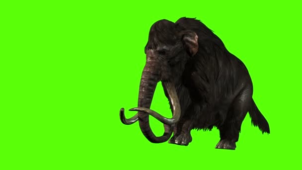 Animação Rendering Mammoth Attacks Side Tela Verde — Vídeo de Stock