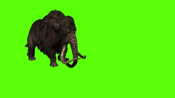 Rendering Animation Mammoth Attacks Side Grön Skärm — Stockvideo
