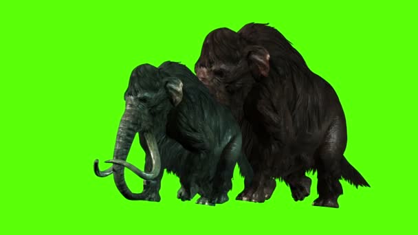 Rendering Animation Mammoths Attacks Side Green Screen — Stock Video