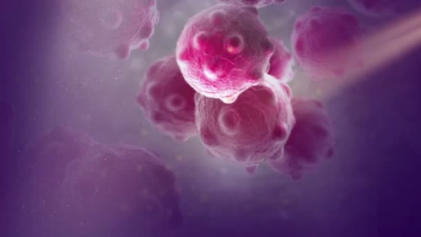Раковые клетки с большой пучковой пылью — стоковое видео