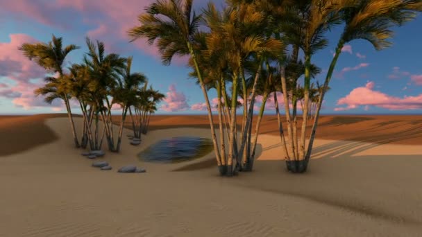 oasis dans le désert
