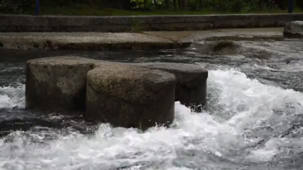 Stream di montagna Close Up — Video Stock