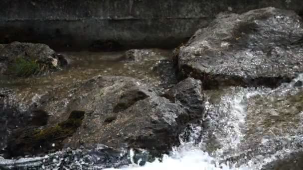 Mountain stream close up — Stock Video