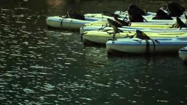 Kayaks de plástico en el agua — Vídeos de Stock