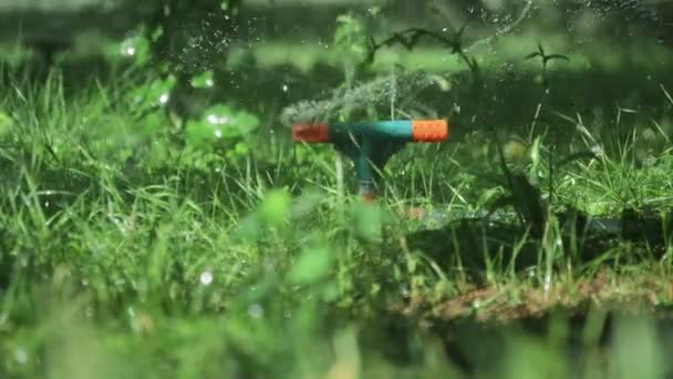Riego de hierba con aspersor de agua — Vídeo de stock