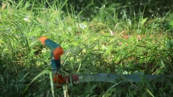 Орошение травы с помощью поливалки для воды — стоковое видео