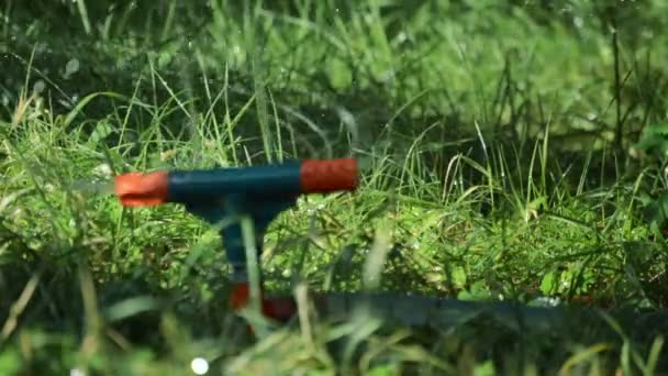 Bevattning gräset med vatten sprinkler — Stockvideo