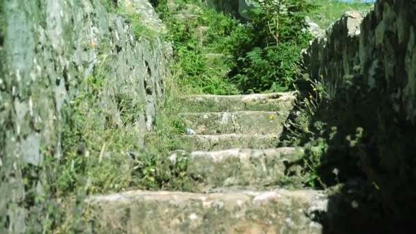 Viejo musgoso y lleno de hierba y escaleras de piedra de árbol — Vídeo de stock