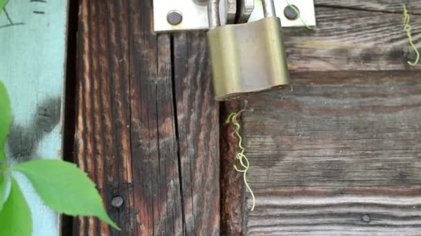Staré kovové zámky na dřevěné dveře — Stock video