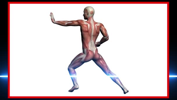Мужские мышцы - 3d рендеринг - — стоковое видео