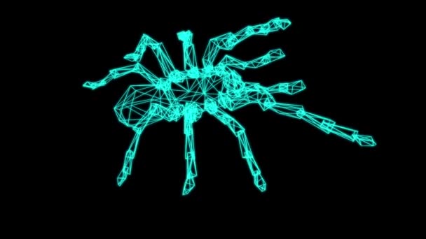 Drát rám model pavouka - 3D vykreslování — Stock video