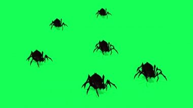 örümcekler yeşil ekran ürpertici sürünen üzerinde animasyon