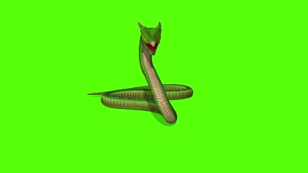 Animation Snake Attack Python Green Screen — Stock Video