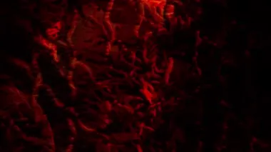 Korku Geçmişi. Korku filmi için rahatsız edici bir arka plan.