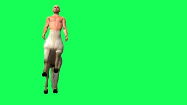 Yeşil ekranda Erkek Centaur Yarı At Adam 'ın 3 boyutlu canlandırması