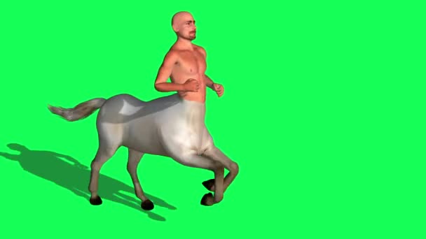 Rendering Animation Male Centaur Half Horse Half Man Green Screen — Stock Video