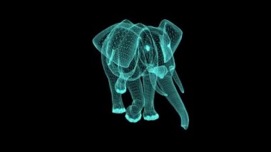 Siyah Ekranda Çerçevede Yürüyen Fil Kablosu