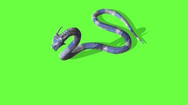 Yılan saldırısının animasyonu - Python Yeşil Ekran