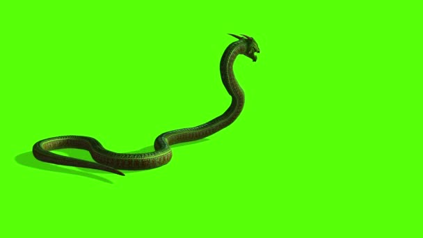 Animation Des Schlangenangriffs Python Green Screen — Stockvideo